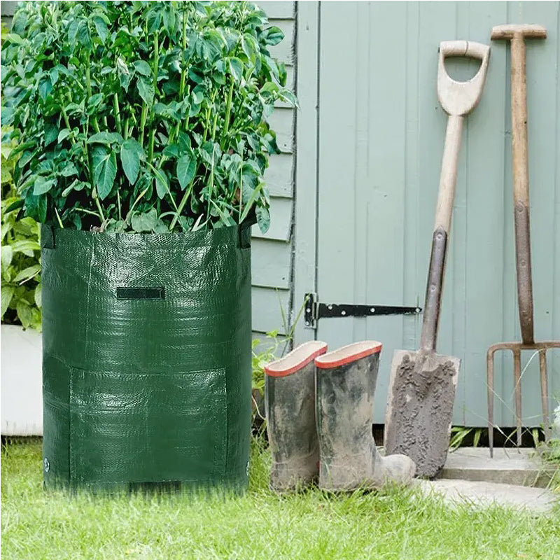 Everything You Need for a Successful Garden